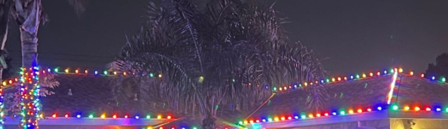 Christmas light installation in Elk Grove, CA: multicolor c9 eave run palm wrap